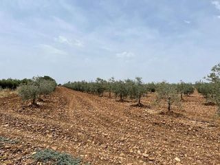 Terreno en venta en Carlota (La)