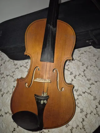 Violino Parrot