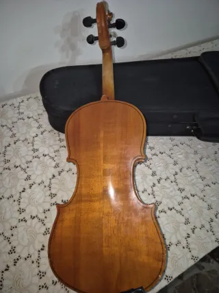 Violino Parrot