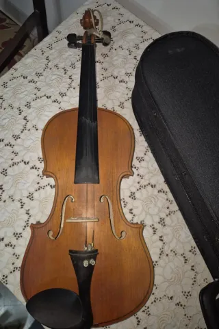 Violino Parrot