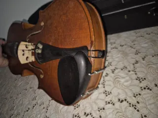 Violino Parrot