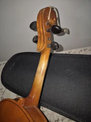 Violino Parrot