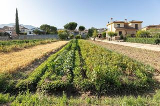 Terreno en venta en Zubia (La)