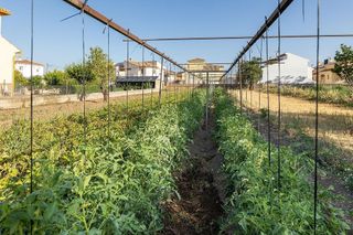 Terreno en venta en Zubia (La)