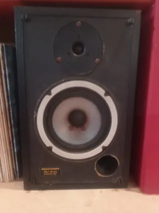 Altavoces Marantz Pasivos Negros