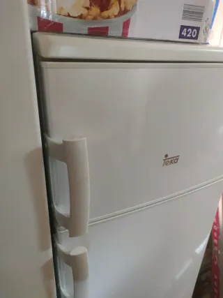 Nevera Teka