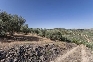 Terreno en venta en Montefrío