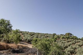 Terreno en venta en Montefrío