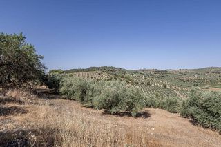 Terreno en venta en Montefrío