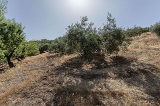 Terreno en venta en Montefrío