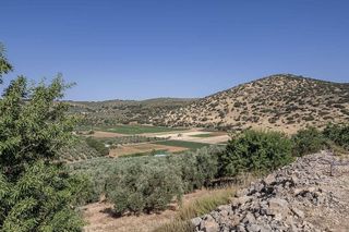 Terreno en venta en Montefrío