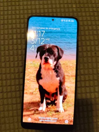 Xiaomi Redmi Note 11 Pro+ 5G con cargador 120w