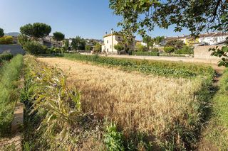 Terreno en venta en Zubia (La)