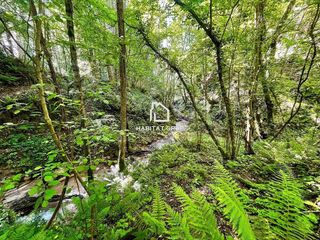 Chalet en venta en Sant Hilari Sacalm