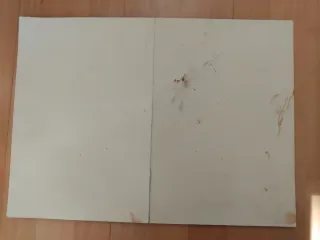 Juego La Carrera del Chollo Un, dos, tres