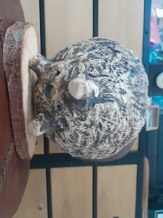 Maceta Bonsái Kurama