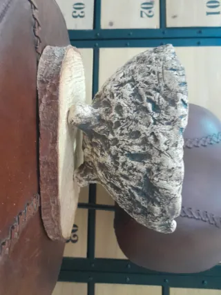 Maceta Bonsái Kurama