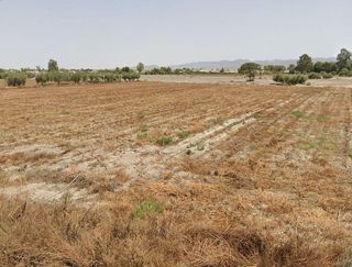 Solar en venta en La Hoya-Almendricos-Purias en Lorca