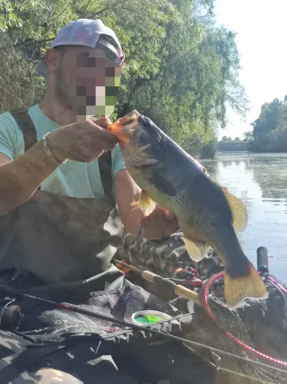 Pato de pesca Camuflaje