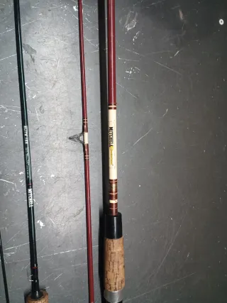 Cañas de pesca mictchell