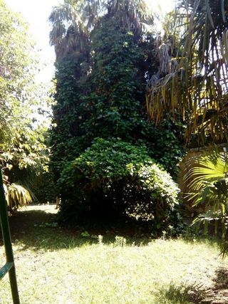 Chalet en venta en Tarazona