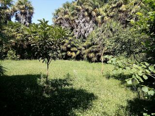 Chalet en venta en Tarazona