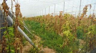 Terreno en venta en Aguamarga en Níjar