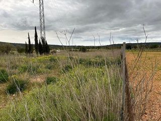 Terreno en venta en Alaró