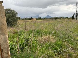 Terreno en venta en Alaró
