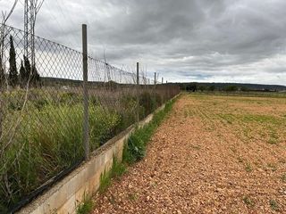 Terreno en venta en Alaró
