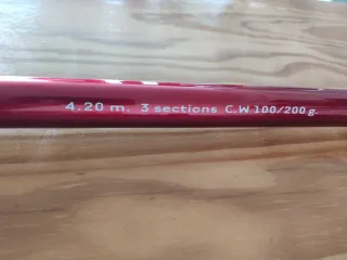 Caña nueva Surfcasting Enigma Vercelli Spider 420