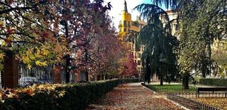 Estudio en alquiler en Guindalera en Madrid