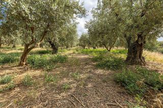 Terreno en venta en Otura