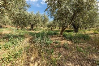 Terreno en venta en Otura