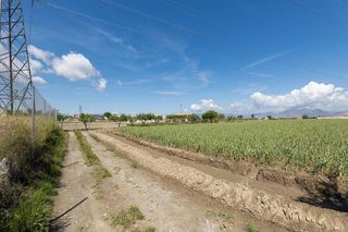 Terreno en venta en Cúllar Vega