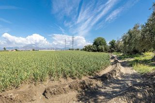 Terreno en venta en Cúllar Vega