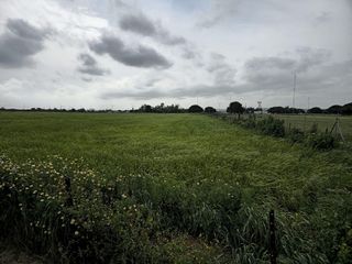 Casa rural en venta en Puerto Real