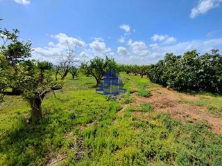 Terreno en venta en Cobatillas en Murcia