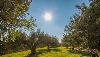 Chalet en alquiler en Teulada Pueblo en Teulada