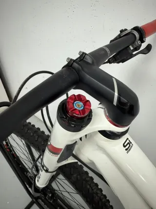 Cannondale Scalpel L