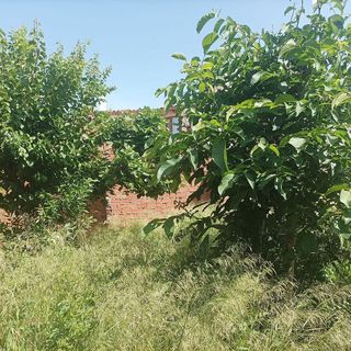 Terreno en venta en Quintanar de la Orden