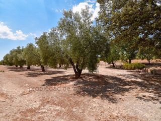 Terreno en venta en Caudete