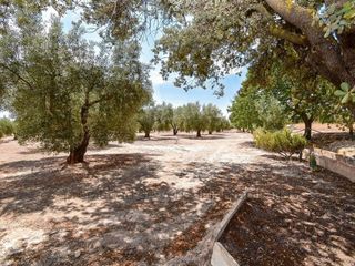 Terreno en venta en Caudete