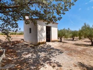 Terreno en venta en Caudete