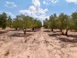 Terreno en venta en Caudete