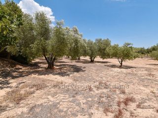 Terreno en venta en Caudete