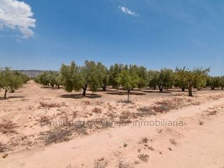 Terreno en venta en Caudete