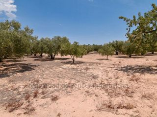 Terreno en venta en Caudete