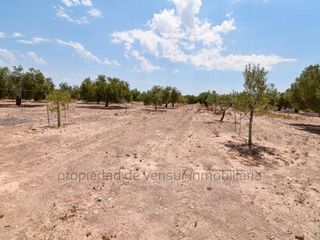 Terreno en venta en Caudete