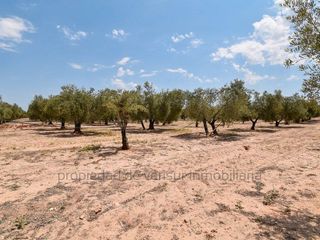 Terreno en venta en Caudete